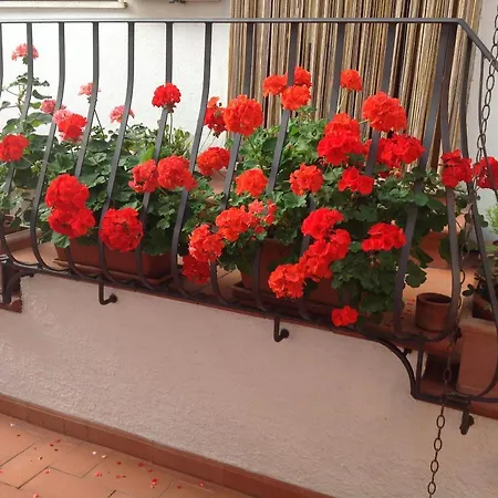 La Castagna Apartment